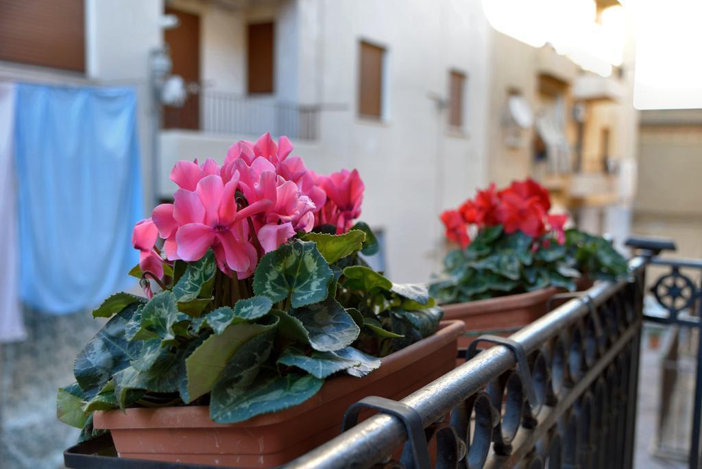 Bed and Breakfast Real Teatro Umberto I Palermo Zewnętrze zdjęcie